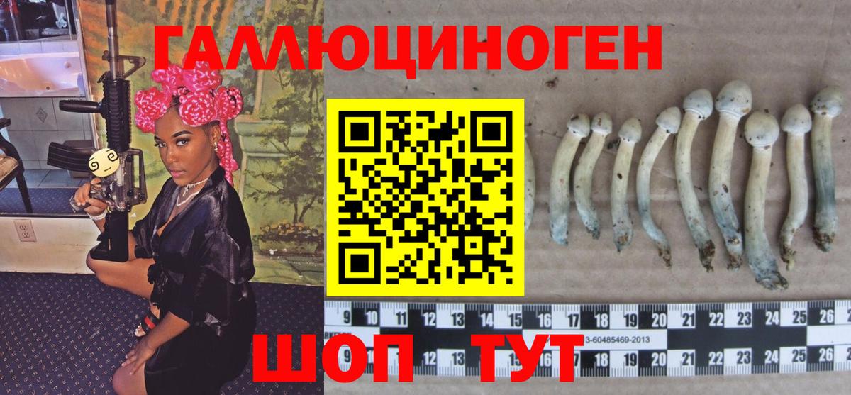 Псилоцибиновые грибы Psilocybe  Вход с VPN  Александров 