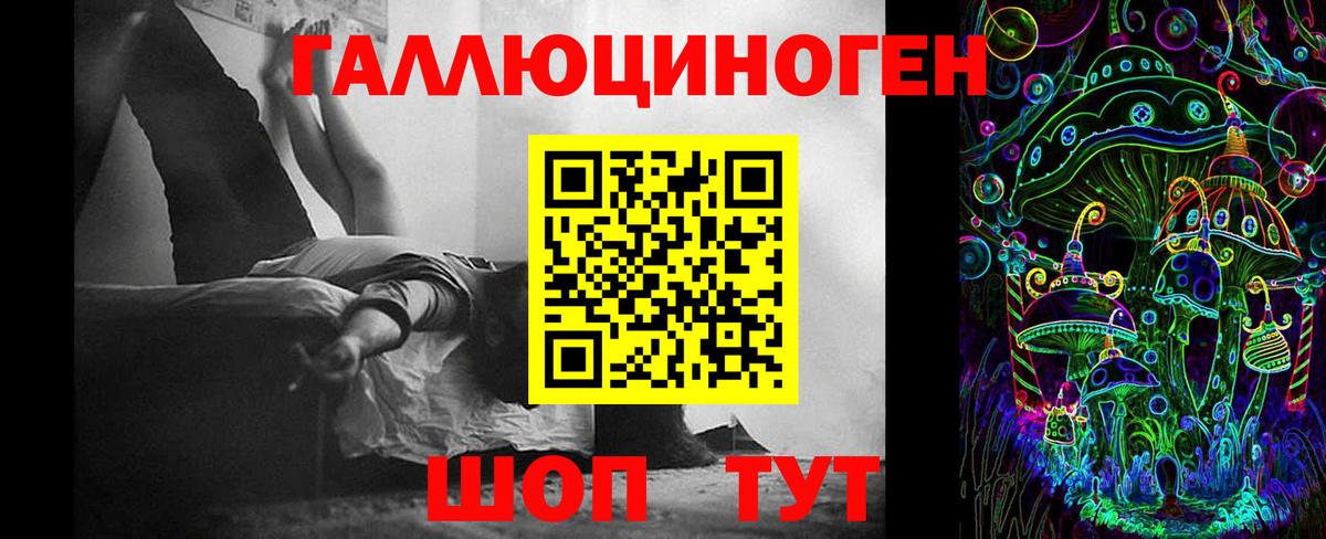 Псилоцибиновые грибы Psilocybine cubensis Александров